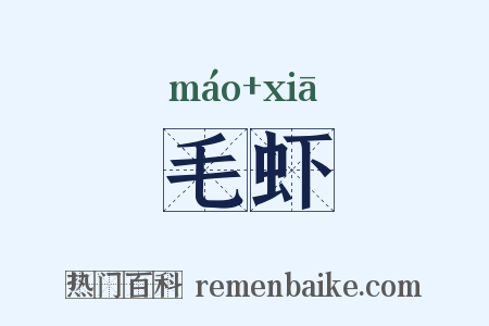 毛虾是什么意思的图片